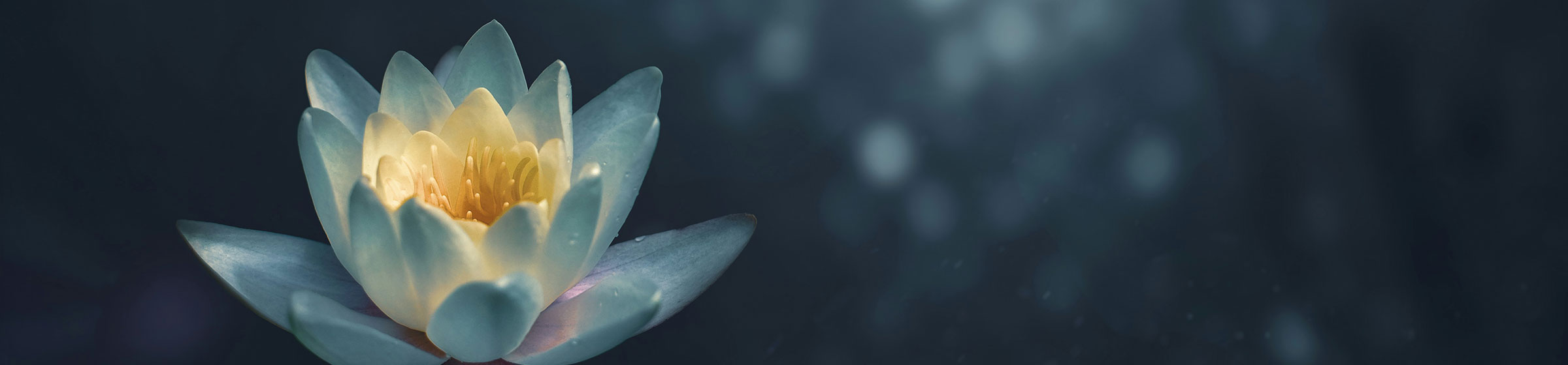 Flower over an artistic backdrop